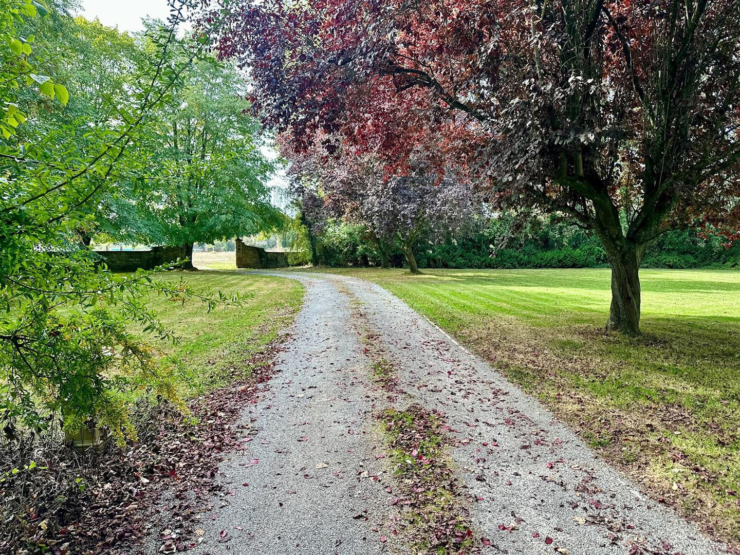 driveway back.jpg